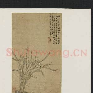 宋元集绘 册 元赵孟俯双钩水仙|2幅|20.01 MB|高清下载