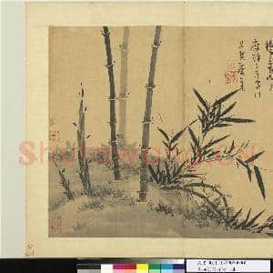 元吴镇墨竹谱 册 轻荫护绿苔|1幅|9.44 MB|高清下载
