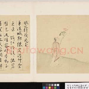 明陆治蔡羽书画合璧 册 折荷图|2幅|18.6 MB|高清下载