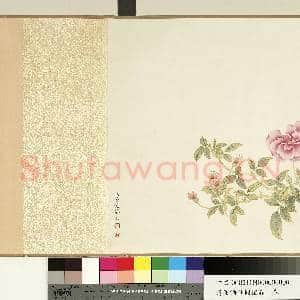 清董诰仙圃恒春 卷|13幅|102.84 MB|高清下载