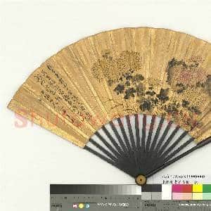 明陈淳画菊花图 成扇|5幅|55.54 MB|高清下载
