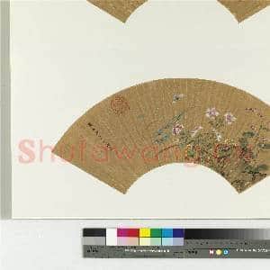 明赵文俶画秋花 册页|2幅|22.76 MB|高清下载