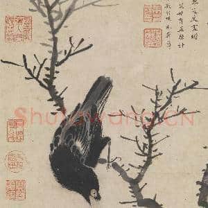 明姚绶画寒林鸜鹆 轴|11幅|106.17 MB|高清下载