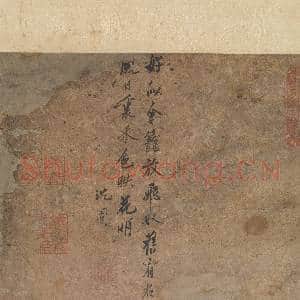 明沈周放鸽图 轴|9幅|87.26 MB|高清下载