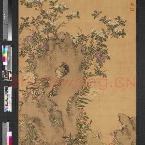 明陈淳设色花卉 轴|3幅|25.25 MB|高清下载
