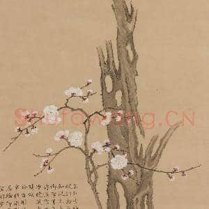 清邹一桂画古干梅花 轴|8幅|68.16 MB|高清下载