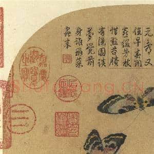 唐刁光胤写生花卉 册 桃花双蝶盘石带草|5幅|69.28 MB|高清下载