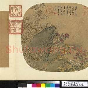 唐刁光胤写生花卉 册 攒筱孤石高下菊丛|2幅|26.13 MB|高清下载