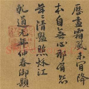 唐刁光胤写生花卉 册 石岸淙流芙蓉蘸水|4幅|54.57 MB|高清下载