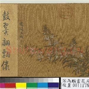 宋马麟画花卉 册 琼葩玉映|2幅|27.69 MB|高清下载