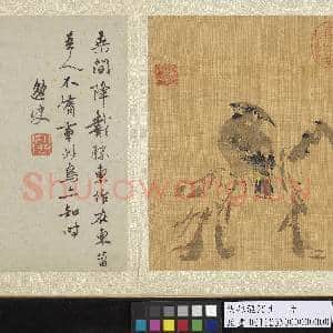 明孙龙写生 册 柔桑戴胜|4幅|44.45 MB|高清下载