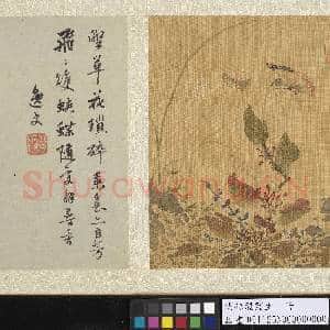 明孙龙写生 册 草花蛱蝶|4幅|44.97 MB|高清下载