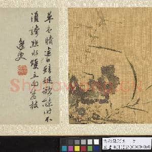 明孙龙写生 册 草石蜻蜓|4幅|44.77 MB|高清下载