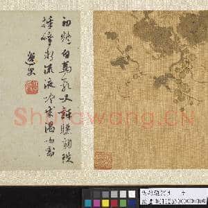 明孙龙写生 册 蒲桃|4幅|44.97 MB|高清下载