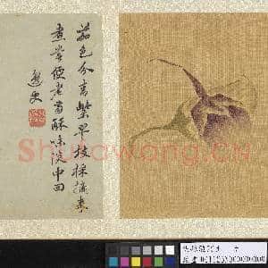 明孙龙写生 册 青紫茄|4幅|44.46 MB|高清下载