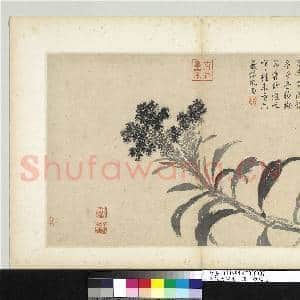明沈周写生 册 鸡冠花|1幅|9.24 MB|高清下载