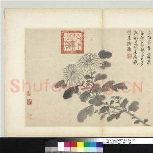 明沈周写生 册 菊|1幅|9.06 MB|高清下载