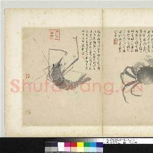 明沈周写生 册 蟹与虾|1幅|9.21 MB|高清下载