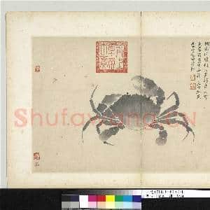 明沈周写生 册 蝤蛑|1幅|9.11 MB|高清下载