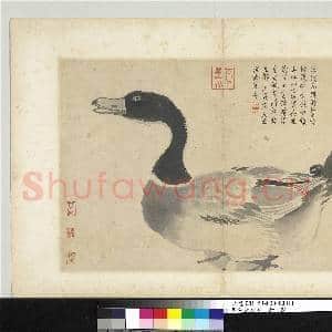 明沈周写生 册 鸭|1幅|8.98 MB|高清下载