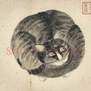 明沈周写生 册 猫|4幅|43.23 MB|高清下载