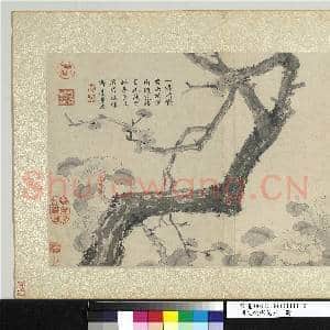 明文征明花卉 册 寒香仙伴|1幅|11.1 MB|高清下载
