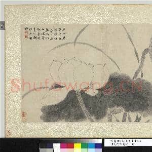 明文征明花卉 册 芳塘净植|1幅|11.04 MB|高清下载