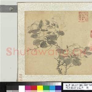 明陈栝四时花卉 册 山茶|1幅|10.55 MB|高清下载