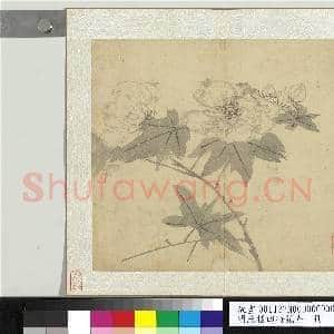 明陈栝四时花卉 册 木芙蓉|1幅|10.29 MB|高清下载
