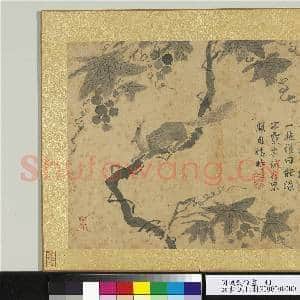 明钱谷杂画 册 葡萄松鼠|1幅|13.66 MB|高清下载