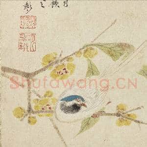 明项圣谟写生 册 蜡梅练雀|3幅|31.11 MB|高清下载