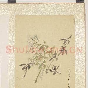 明马守真画册 册 兰卉|3幅|29.82 MB|高清下载