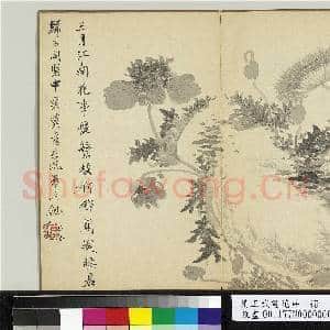 清王武画花卉 册 石边罂粟|1幅|10.53 MB|高清下载