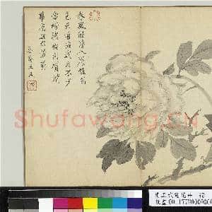 清王武画花卉 册 牡丹|1幅|10.4 MB|高清下载