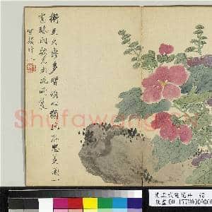 清王武画花卉 册 拳石蜀葵|1幅|10.52 MB|高清下载