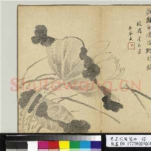 清王武画花卉 册 荷花|1幅|10.27 MB|高清下载