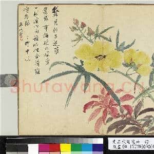 清王武画花卉 册 秋葵|1幅|10.45 MB|高清下载