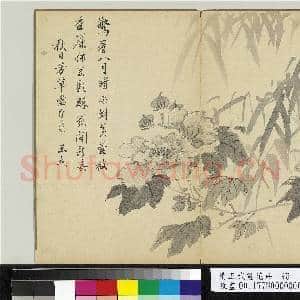 清王武画花卉 册 竹下木芙蓉|1幅|10.35 MB|高清下载