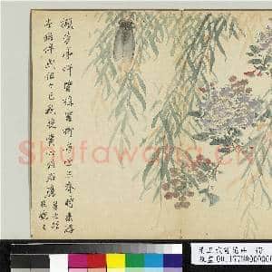 清王武画花卉 册 秋柳栖蝉|1幅|10.45 MB|高清下载