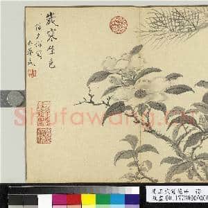 清王武画花卉 册 松下山茶|1幅|10.65 MB|高清下载