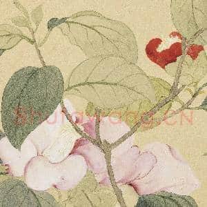 清恽寿平摹古 册 山茶|4幅|37.44 MB|高清下载