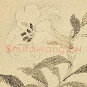 清恽寿平摹古 册 百合|4幅|35.93 MB|高清下载