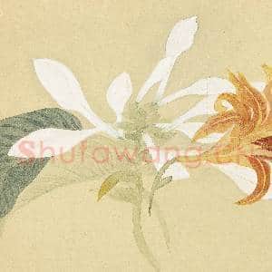 清恽寿平摹古 册 玉簪萱花|4幅|34.99 MB|高清下载