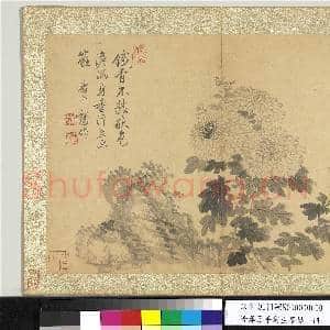 清恽寿平写生墨妙 册 菊花|1幅|11.07 MB|高清下载