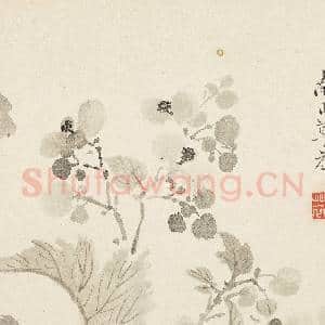 清恽寿平写生花卉 册 秋露阑干|5幅|45.19 MB|高清下载