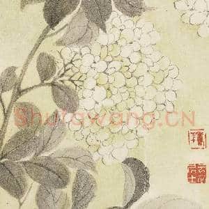 清恽寿平写生花卉 册 绣球花|4幅|37.13 MB|高清下载