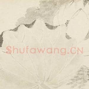 清恽寿平写生花卉 册 洛浦仙裳|4幅|33.52 MB|高清下载