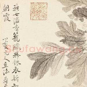 清恽寿平写生花卉 册 牡丹|5幅|49.2 MB|高清下载