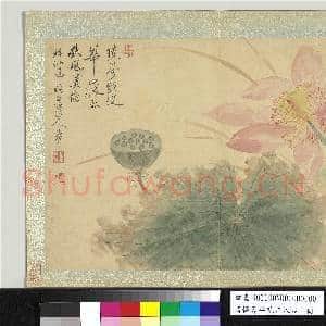 清恽寿平花卉八帧 册 临白阳山人|1幅|10.52 MB|高清下载