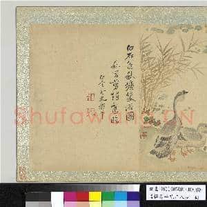 清恽寿平花卉八帧 册 橅白石翁秋塘双浴图|1幅|10.51 MB|高清下载